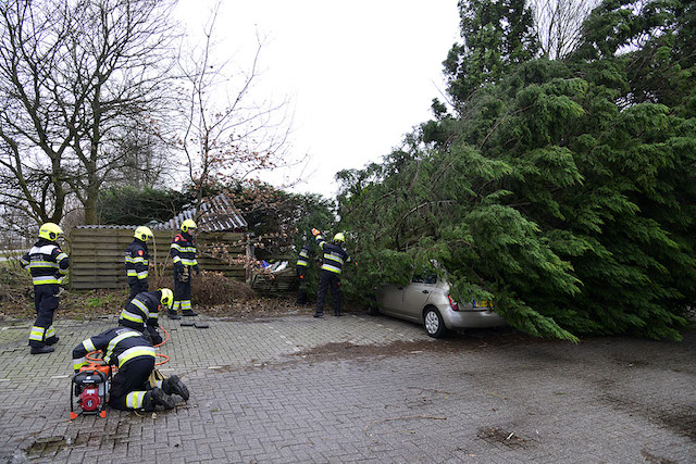 2018/14/20180118-10u13 GB 001 Stormschade Herbergh.jpg